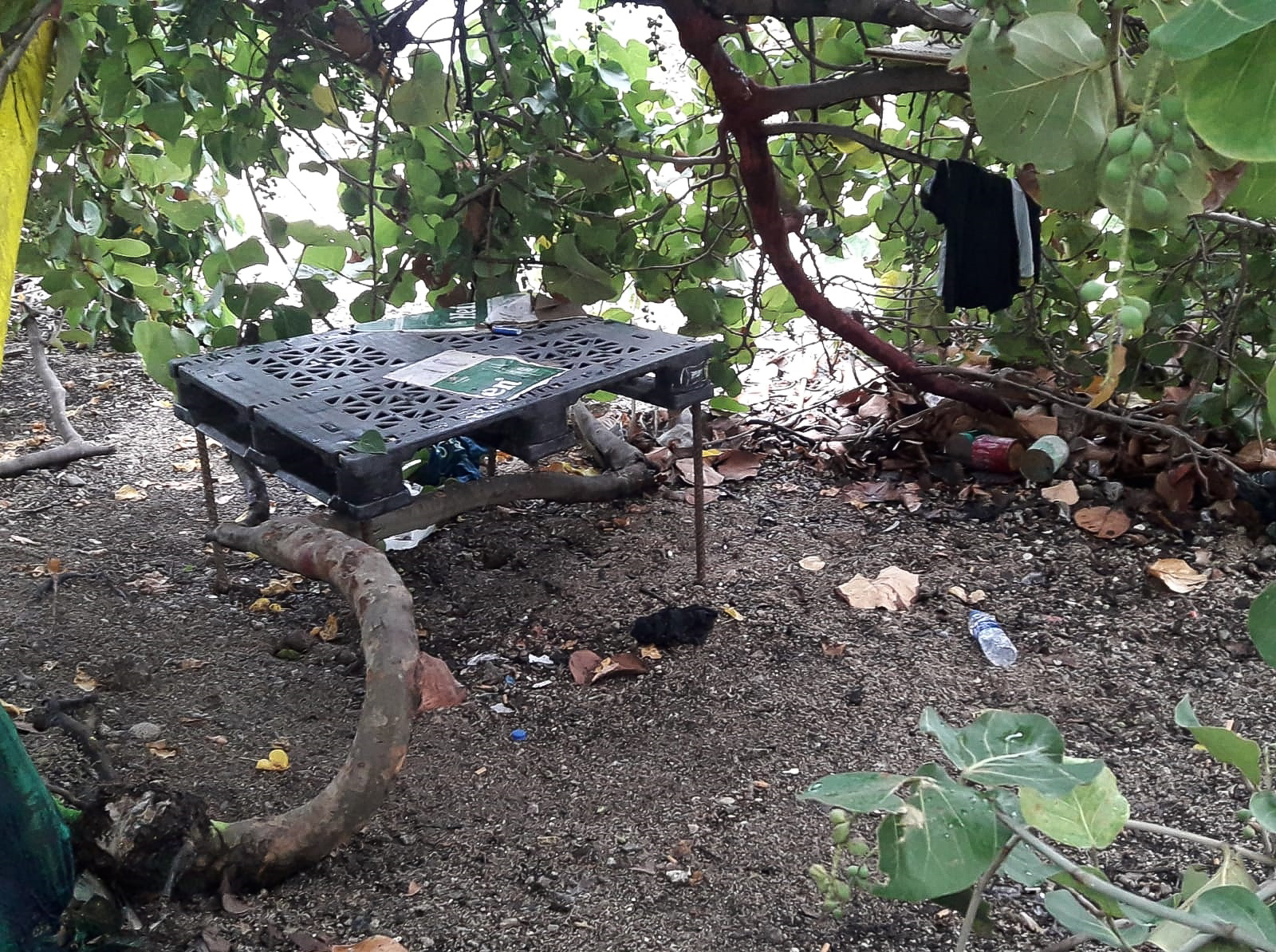 The area before the clean-up