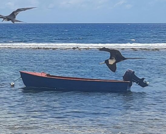25ft Dory
