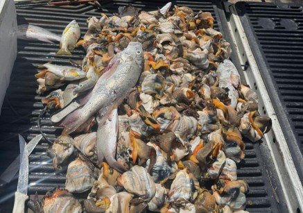 Men Arrested for Poaching Following Joint Response by CICG, RCIPS and DOE, 10 March