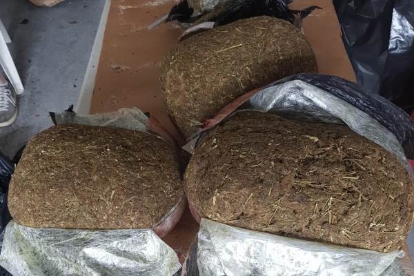 RCIPS and Customs Officers Interdict Almost 700 pounds of Ganja in Two Weeks, Make 7 Arrests