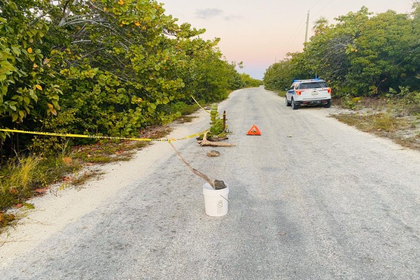 Sinkhole Discovered in Little Cayman, 31 January