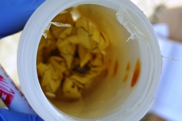West Bay Man Arrested and Charged with Cocaine and Ganja Offenses Following Search, 12 August