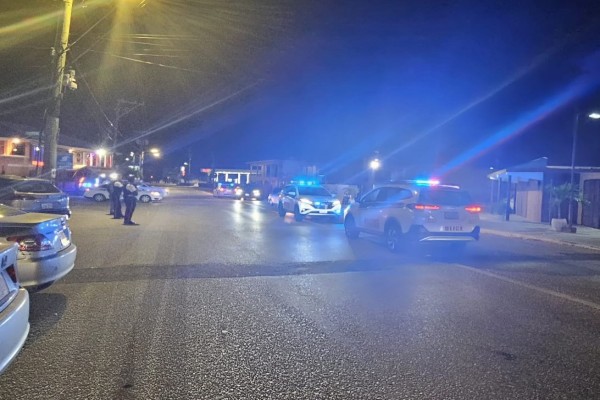 Members of the Public Assist Police in Making DUI Arrests, 20 February